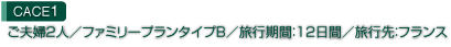 【ケース１】ご夫婦２人／ファミリープラン タイプB／旅行期間：12日間／旅行先：フランス